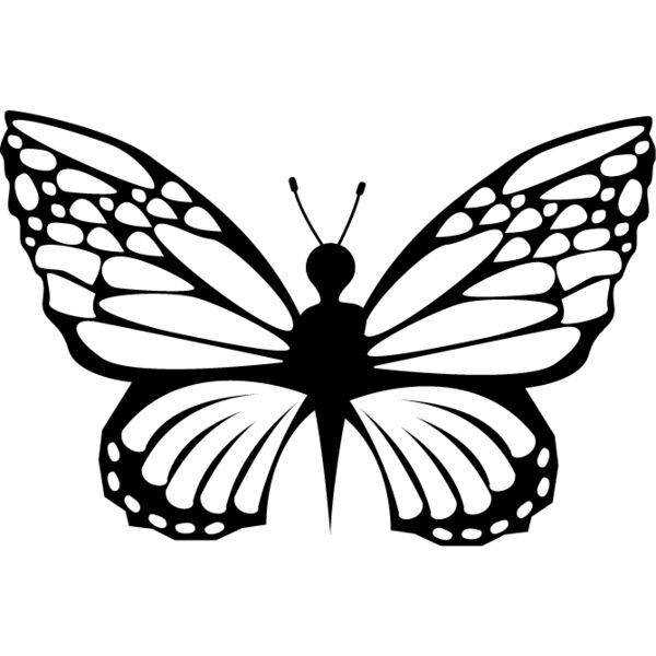 Butterfly3 Thumbnail