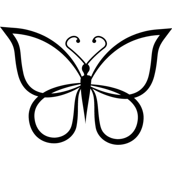 Butterfly5 Thumbnail