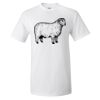 Ultra Cotton® T-Shirt Thumbnail