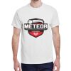 100 HEAVY COTTON SHIRTS WITH 1 COLOR PRINT Thumbnail