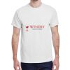 100 HEAVY COTTON SHIRTS WITH 1 COLOR PRINT Thumbnail
