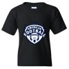 Youth Heavy Cotton™ T-Shirt Thumbnail