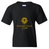 Youth Heavy Cotton™ T-Shirt Thumbnail