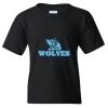 Youth Heavy Cotton™ T-Shirt Thumbnail