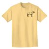 Adult Heavyweight T-Shirt Thumbnail