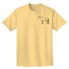 Adult Heavyweight T-Shirt Thumbnail