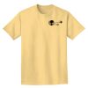 Adult Heavyweight T-Shirt Thumbnail