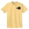 Adult Heavyweight T-Shirt Thumbnail