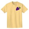 Adult Heavyweight T-Shirt Thumbnail