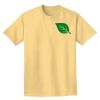 Adult Heavyweight T-Shirt Thumbnail