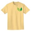 Adult Heavyweight T-Shirt Thumbnail