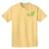 Adult Heavyweight T-Shirt Thumbnail