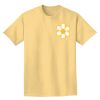 Adult Heavyweight T-Shirt Thumbnail