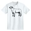 Adult Lightweight T-Shirt Thumbnail
