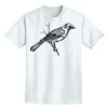 Adult Lightweight T-Shirt Thumbnail
