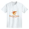 Adult Lightweight T-Shirt Thumbnail
