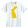 Adult Lightweight T-Shirt Thumbnail
