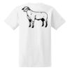 Ladies' Midweight RS T-Shirt Thumbnail
