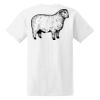 Ladies' Midweight RS T-Shirt Thumbnail