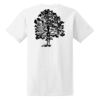 Ladies' Midweight RS T-Shirt Thumbnail