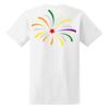 Ladies' Midweight RS T-Shirt Thumbnail